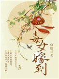 毒女婿云南山歌