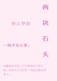 两块石头鱼缸造景
